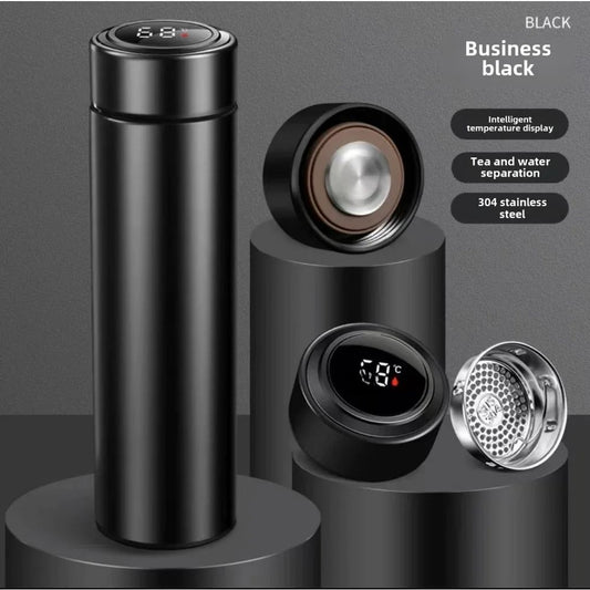 LED Temperature Display Water Bottle